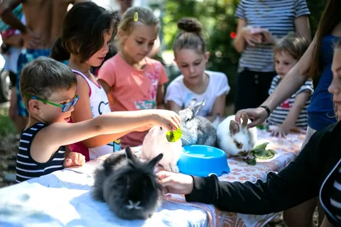 Resort Turnersee foto 10