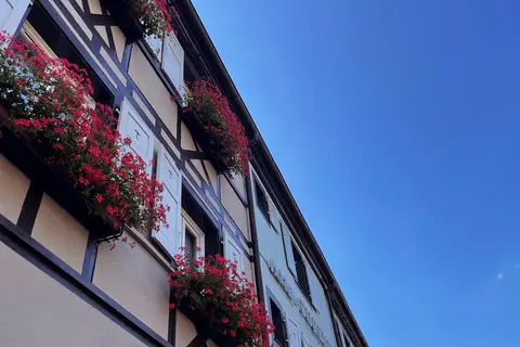 Turenne foto 4
