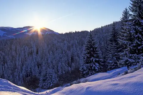 Garni Hotel Alpin in Scheffau am Wilden Kaiser — foto 15