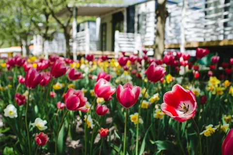 Camping Pelso foto 25