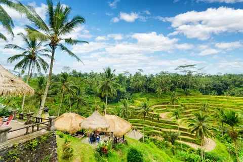 Rondreis Veelzijdig Java & Bali foto 4