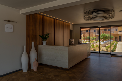 Eleonas Boutique Hotel & Spa - adults only foto 13