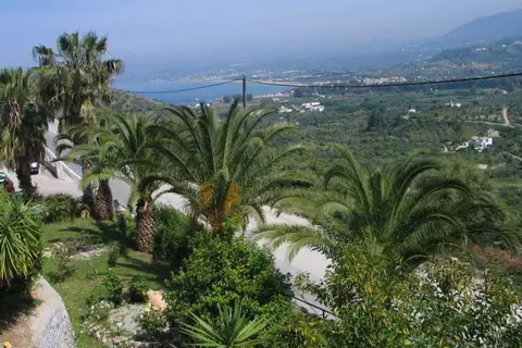 Alkion in Ίμερος — foto 6