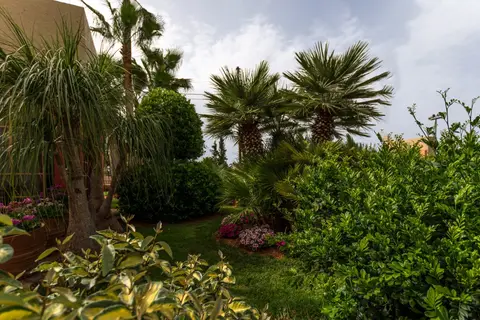 Dedalos Hotel in Δημοτική Ενότητα Μαλίων — foto 20