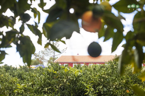 Quinta dos I's foto 8