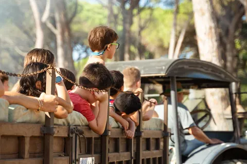 Camping Begur foto 2