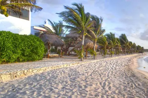 Hidden Beach Resort Au Naturel Club in Playa del Carmen, foto 11