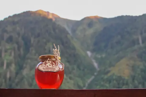 Ayder Doga Resort in Çamlıhemşin — foto 13