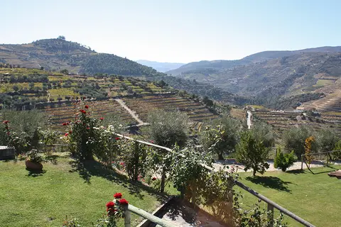 Hotel Quinta do Silval in Alijó, foto 15