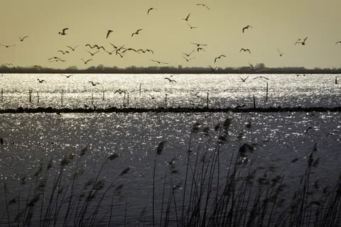 Stadsherberg de Wijnberg foto 44
