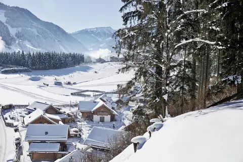 Feriendorf Holzleb'n in Viehstall — foto 11