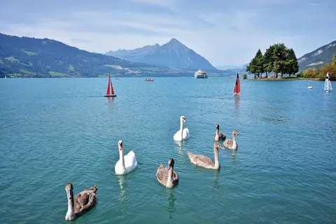 Camping Manor Farm foto 19