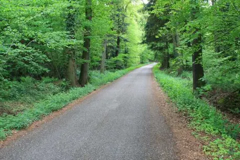 Stadshotel Ootmarsum foto 19