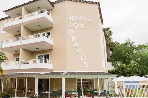 Dragos del Norte in Puerto De La Cruz — foto 5