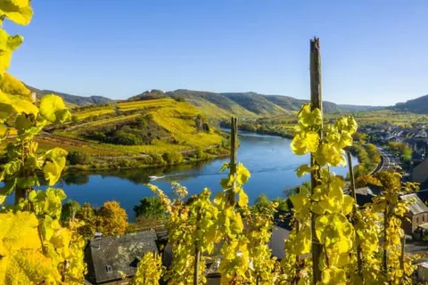 Landhotel Ringelsteiner Mühle foto 20