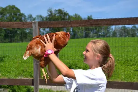 Vakantiedorp Feriendorf Ponyhof foto 2