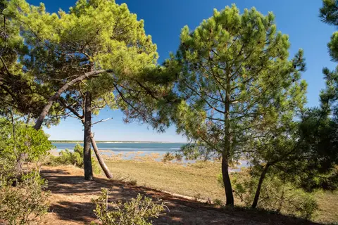 Camping Club La Côte Sauvage in La Tremblade — foto 29