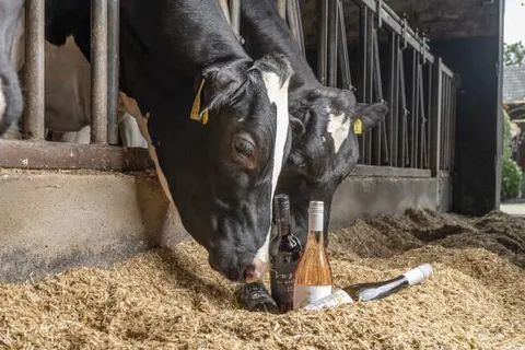 Herberg de Brabantse Kluis foto 25