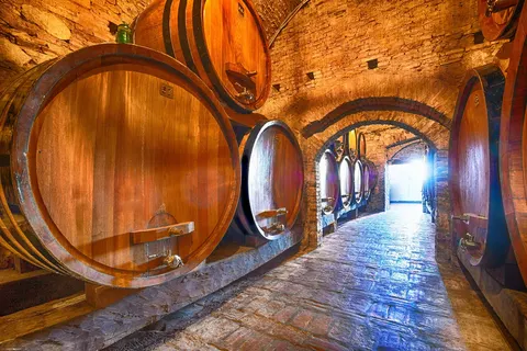 Train & Electric Drive naar de wijnstreek Piemonte foto 3