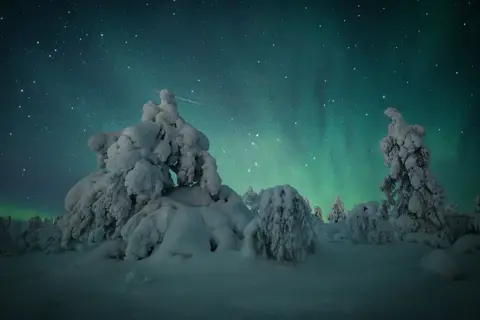 5-daags Winteravontuur Levi in Fins Lapland — foto 14