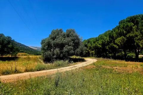 Appartementen G.Living 365 in Δημοτική Ενότητα Πυλαρέων — foto 18