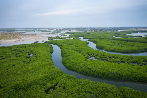 15-daagse rondreis Ontdek Gambia & Senegal foto 3