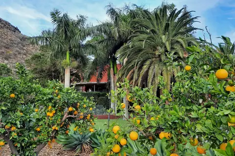 Finca Las Longueras in Agaete — foto 13