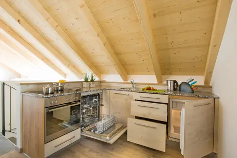 Appartementen Bergparadies in Dorfgastein — foto 4