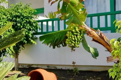 Neptuno Suites in Costa Teguise — foto 15