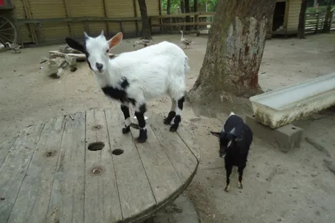 Camping Domaine De Bréhadour foto 9