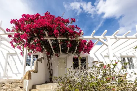 Rhenia Mykonos in Τούρλος — foto 16