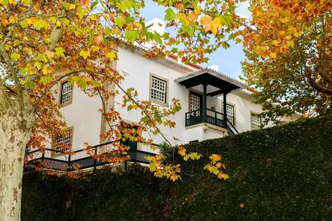 Quinta da Pacheca in Lamego, foto 15