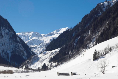 Gasthof Andrelwirt foto 13