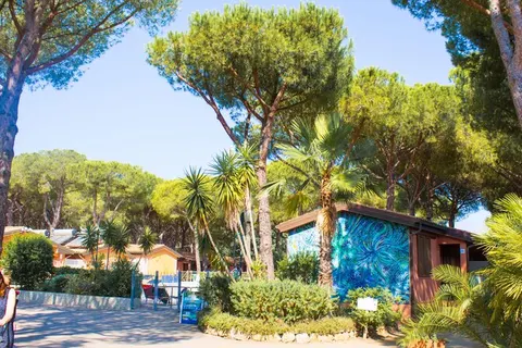 Camping Il Gabbiano foto 36