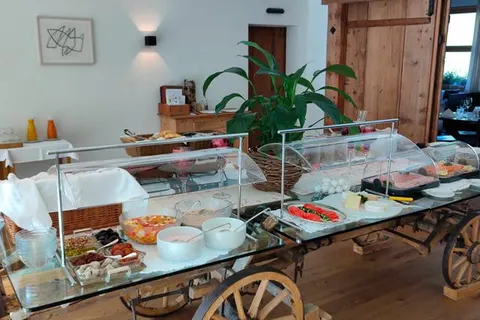 Hotel Alpina Parpan foto 7