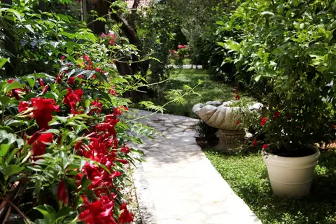 Villa Rustica Dalmatia in Seget Vranjica — foto 18