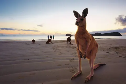 A self drive journey along Australia's East Coast in Sydney — foto 4