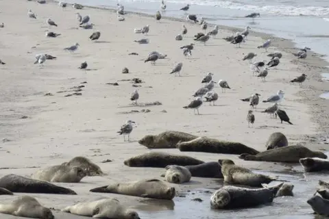 Hotel de Klok Ameland foto 18