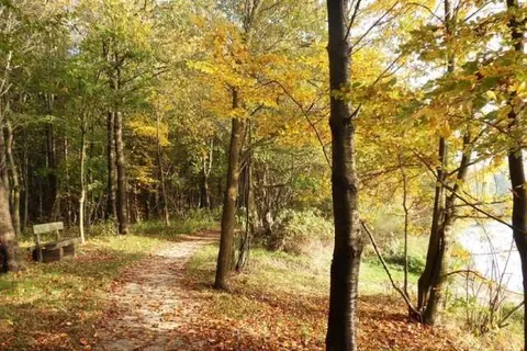 De Valkhoeve Mill foto 3