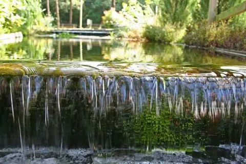 Bospark Markelo foto 17