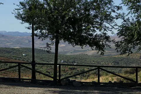 Camping Pueblo Blanco in Olvera — foto 11