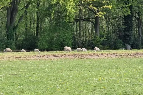 Het Heerengoedt in Ambt Delden, foto 28