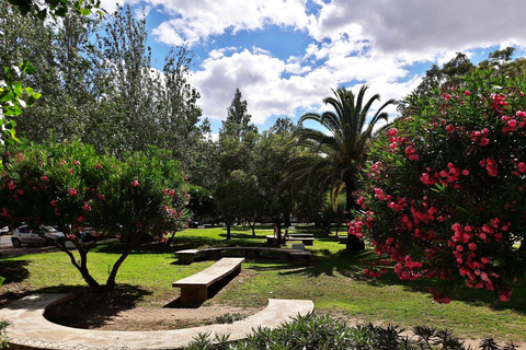 Appartementen Golden Club foto 14