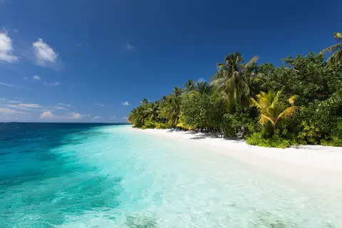 Vilamendhoo Island Resort & Spa in Vilamendhoo Island Resort & Spa — foto 5