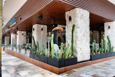 The Reef 28 in Playa del Carmen — foto 25