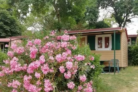 Firenze Certosa Camping foto 24