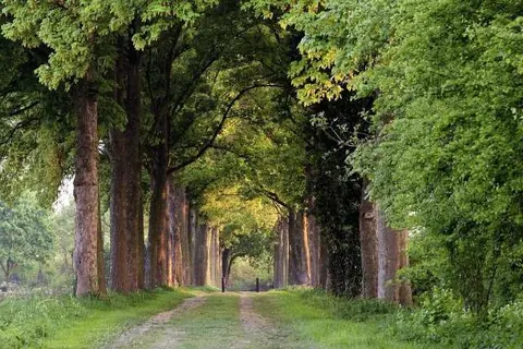 Bilderberg Hotel &ampapos;t Speulderbos foto 18