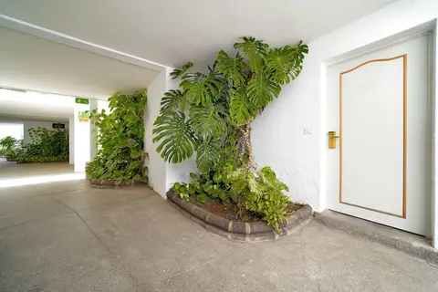 Rio Piedras in Las Palmas de Gran Canaria — foto 11