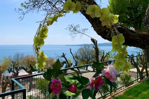 Camping Della Colombaia foto 2