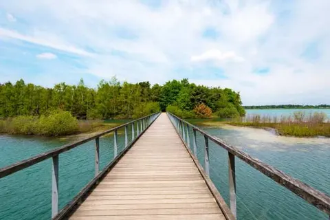 B&B De Grote Waaij foto 15